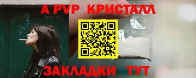 дмт Тара