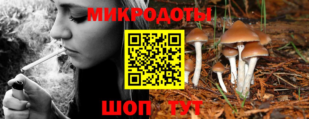 Галлюциногенные грибы ЛСД  Галлюциногенные грибы прущие грибы  Отрадное  Вход с VPN 