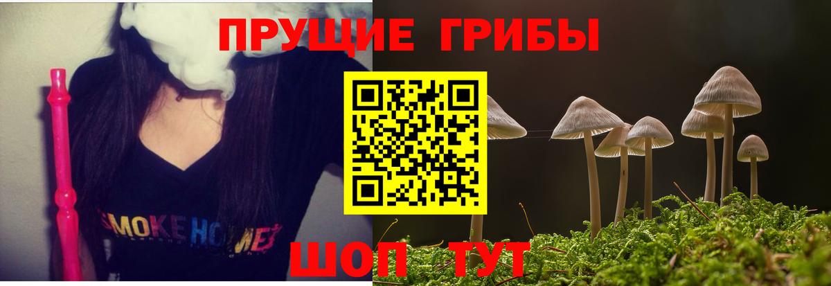 Галлюциногенные грибы ЛСД Отрадное